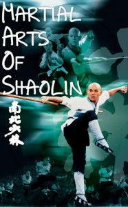 电影南北少林,武林传奇，兄弟情深